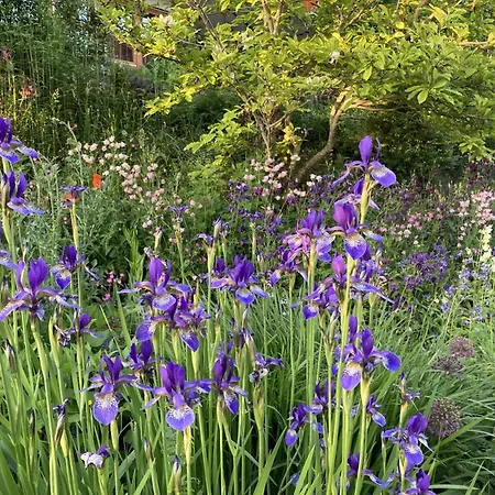 Lejlighed Haus Am Illmensee