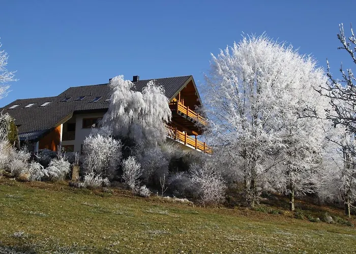 Haus Am See Lägenhet Illmensee